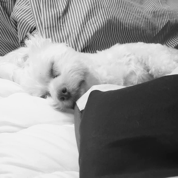 Meet your Posher, Iris - Picture 6 of 8